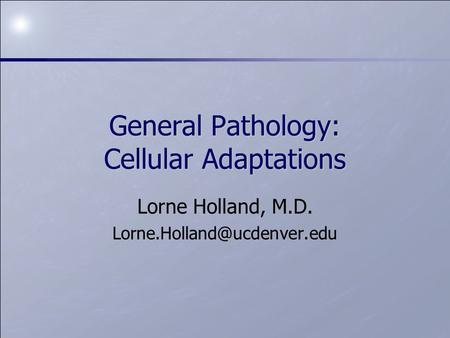 General Pathology: Cellular Adaptations Lorne Holland, M.D.