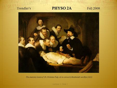 Trendler’s PHYSO 2A Fall 2008 The Anatomy Lesson of Dr. Nicholaes Tulp, oil on canvas by Rembrandt van Rijn (1632) Lecture 1- Slide 1.