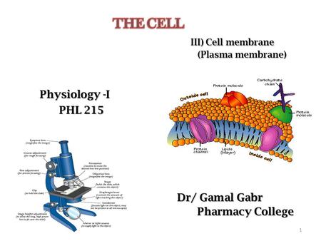 Physiology -I PHL 215 PHL 215 Dr/ Gamal Gabr Pharmacy College Pharmacy College 1.