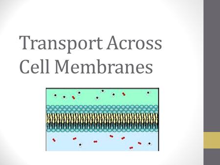 Transport Across Cell Membranes