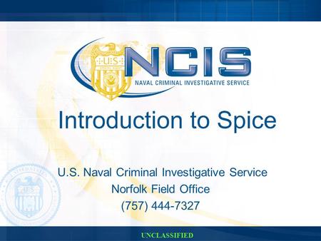 Introduction to Spice U.S. Naval Criminal Investigative Service Norfolk Field Office (757) 444-7327 UNCLASSIFIED.