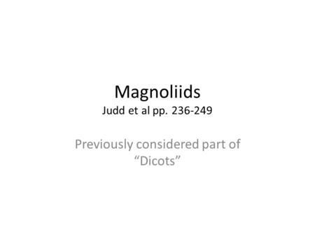 Magnoliids Judd et al pp. 236-249 Previously considered part of “Dicots”