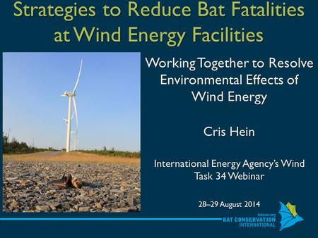 Strategies to Reduce Bat Fatalities at Wind Energy Facilities Working Together to Resolve Environmental Effects of Wind Energy Cris Hein International.