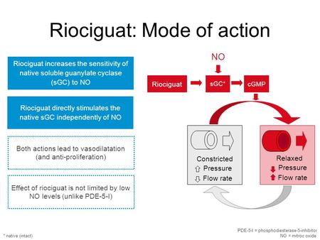 Riociguat directly stimulates the native sGC independently of NO Riociguat increases the sensitivity of native soluble guanylate cyclase (sGC) to NO Both.