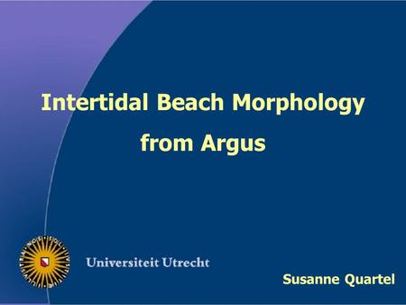 Intertidal Beach Morphology from Argus Susanne Quartel.