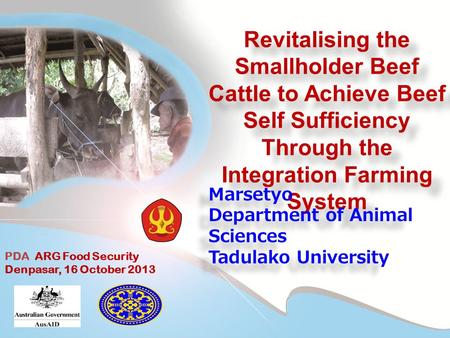 Revitalising the Smallholder Beef Cattle to Achieve Beef Self Sufficiency Through the Integration Farming System Marsetyo Department of Animal Sciences.