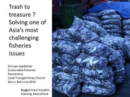 Trash to treasure ? Solving one of Asia’s most challenging fisheries issues Bagged trawl bycatch, Mersing, East Johore Duncan Leadbitter Sustainable Fisheries.