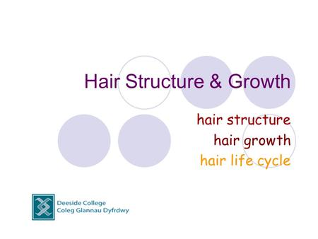 Hair Structure & Growth