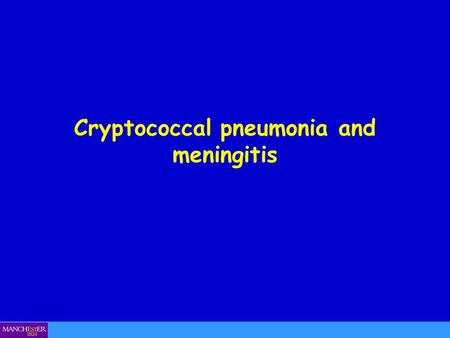Cryptococcal pneumonia and meningitis. Cryptococcus neoformans.