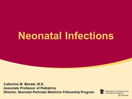 Neonatal Infections Catherine M. Bendel, M.D.