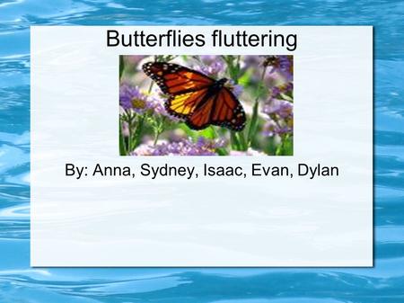 Butterflies fluttering By: Anna, Sydney, Isaac, Evan, Dylan.