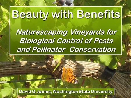 Beauty with Benefits Naturescaping Vineyards for Biological Control of Pests and Pollinator Conservation David G James, Washington State University.