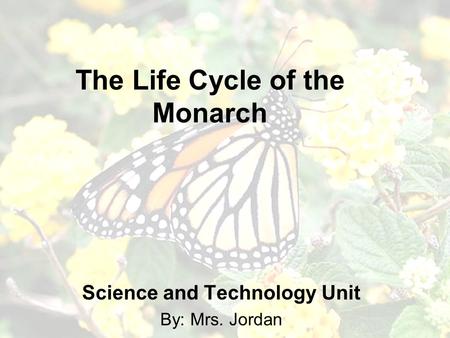The Life Cycle of the Monarch Science and Technology Unit By: Mrs. Jordan.