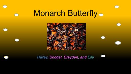 Monarch Butterfly Hailey, Bridget, Brayden, and Elle.