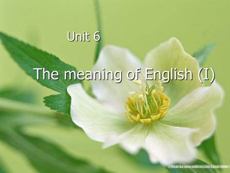 Unit 6 Unit 6 The meaning of English (I) The meaning of English (I)