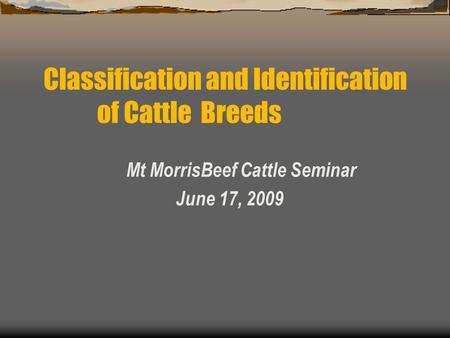 Mt MorrisBeef Cattle Seminar June 17, 2009 Classification and Identification of Cattle Breeds.