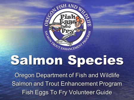 Salmon Species Oregon Department of Fish and Wildlife