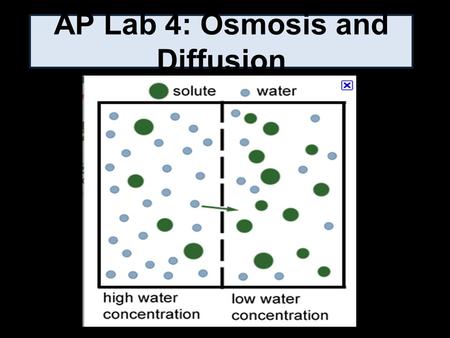 AP Lab 4: Osmosis and Diffusion. Purpose 1. Investigate processes of diffusion and osmosis in a model membrane system, and 2. Investigate effect of solute.