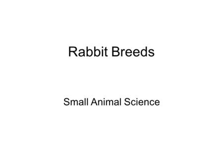 Rabbit Breeds Small Animal Science. Dwarf or Miniature.