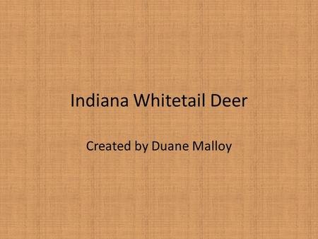 Indiana Whitetail Deer Created by Duane Malloy. Indiana Whitetail Deer Very likely to be seen at O’Bannon Woods. Close to extinction in Indiana in the.