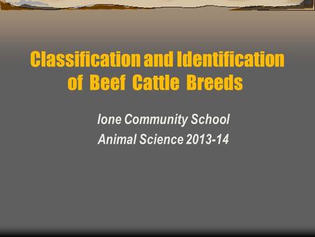 Ione Community School Animal Science 2013-14 Classification and Identification of Beef Cattle Breeds.