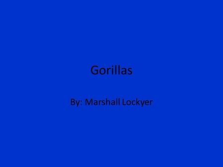 Gorillas By: Marshall Lockyer. My Main question Q: What is the role of a silverback gorilla in a pack? A: Silverbacks are the leaders of a pack of gorillas.