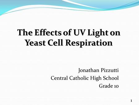 1 The Effects of UV Light on Yeast Cell Respiration.