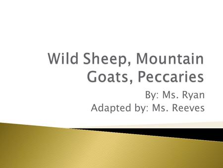 By: Ms. Ryan Adapted by: Ms. Reeves. Identify various hoofed mammals. Discuss characteristics of wild sheep. Compare Dall’s and Bighorn sheep. Discuss.