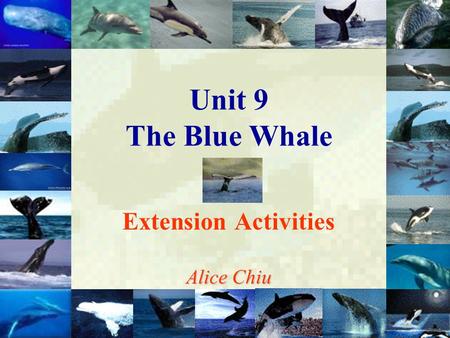 Unit 9 The Blue Whale Extension Activities Alice Chiu.