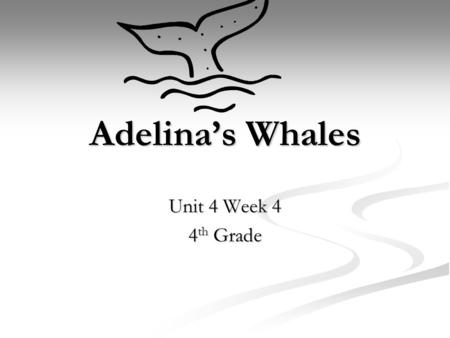 Adelina’s Whales Unit 4 Week 4 4 th Grade. Vocabulary tangles- things twisted together, ssuch as strands of hair tangles- things twisted together, ssuch.