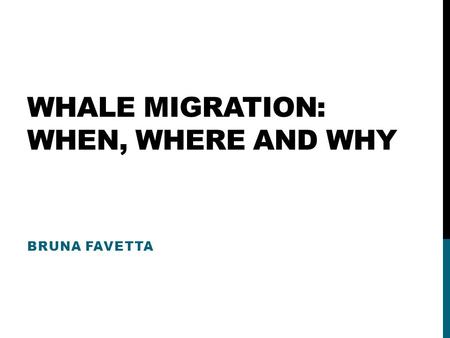 WHALE MIGRATION: WHEN, WHERE AND WHY BRUNA FAVETTA.
