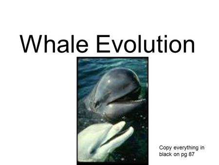 Whale Evolution Copy everything in black on pg 87.