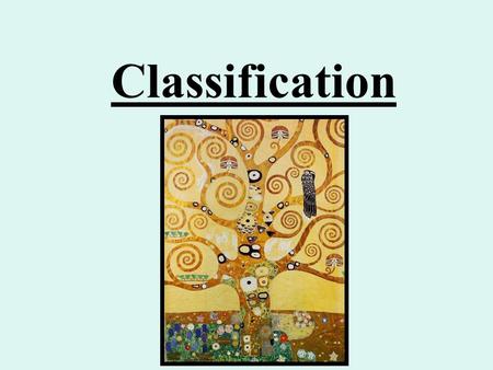 Classification What are Dichotomous Keys? a method for determining the identity of something (like the name of a butterfly, a plant, a lichen, or a rock)