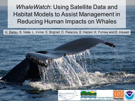 WhaleWatch: Using Satellite Data and Habitat Models to Assist Management in Reducing Human Impacts on Whales H. Bailey, B. Mate, L. Irvine, S. Bograd,