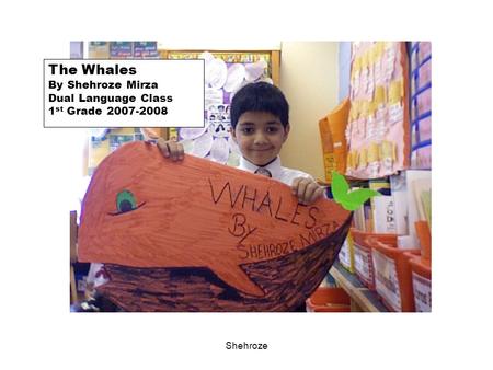 Shehroze The Whales By Shehroze Mirza Dual Language Class 1 st Grade 2007-2008.