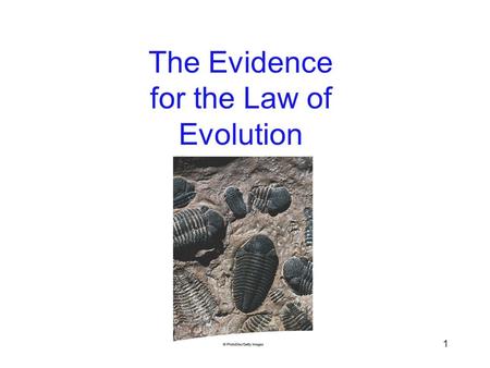 1 The Evidence for the Law of Evolution. Pre-Darwinian Theories Idea of evolution did not originate w/ Charles Darwin Earliest references are from the.