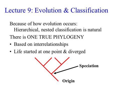 Lecture 9: Evolution & Classification Because of how evolution occurs: Hierarchical, nested classification is natural There is ONE TRUE PHYLOGENY Based.