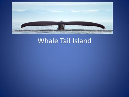 Whale Tail Island. island Key Forest Plantation lake cell tower hills towns docks.