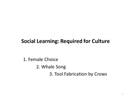 Social Learning: Required for Culture 1. Female Choice 2. Whale Song 3. Tool Fabrication by Crows 1.