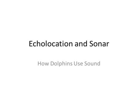 Echolocation and Sonar