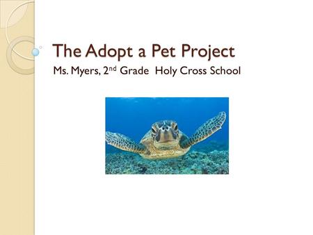 The Adopt a Pet Project Ms. Myers, 2 nd Grade Holy Cross School.