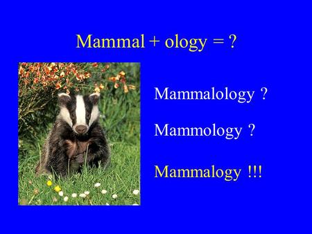 Mammal + ology = ? Mammalology ? Mammology ? Mammalogy !!!