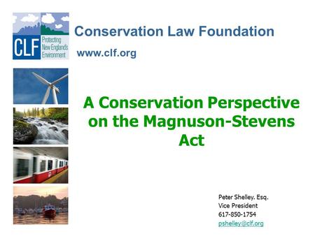 Conservation Law Foundation A Conservation Perspective on the Magnuson-Stevens Act Peter Shelley. Esq. Vice President 617-850-1754