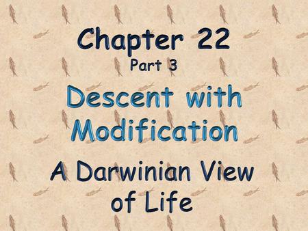 Chapter 22 Part 3 Descent with Modification