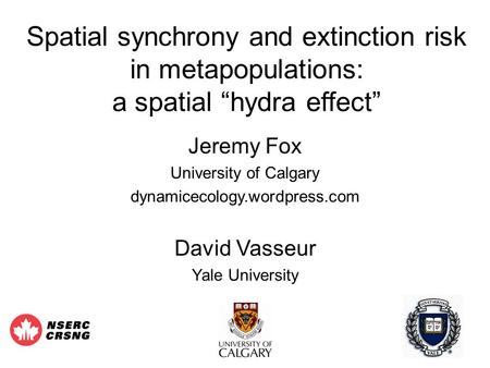 Spatial synchrony and extinction risk in metapopulations: a spatial “hydra effect” Jeremy Fox University of Calgary dynamicecology.wordpress.com David.