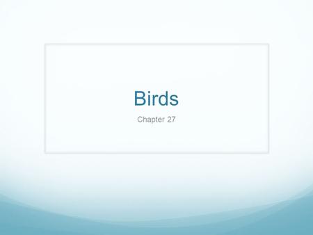 Birds Chapter 27.
