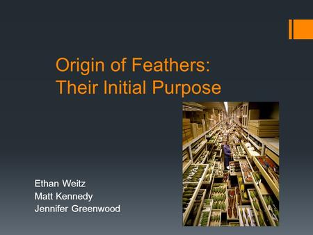 Origin of Feathers: Their Initial Purpose Ethan Weitz Matt Kennedy Jennifer Greenwood.