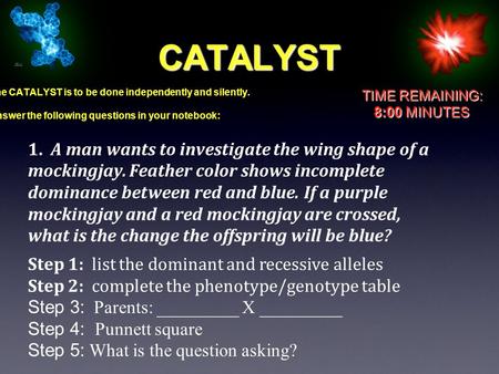 CATALYST The CATALYST is to be done independently and silently. Answer the following questions in your notebook: TIME REMAINING: 8:00 MINUTES 1. A man.