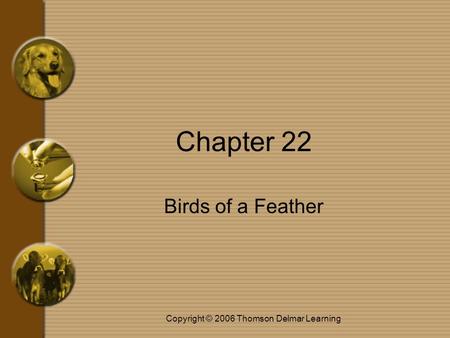 Copyright © 2006 Thomson Delmar Learning Chapter 22 Birds of a Feather.