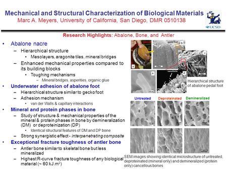 Mechanical and Structural Characterization of Biological Materials Marc A. Meyers, University of California, San Diego, DMR 0510138 Research Highlights: